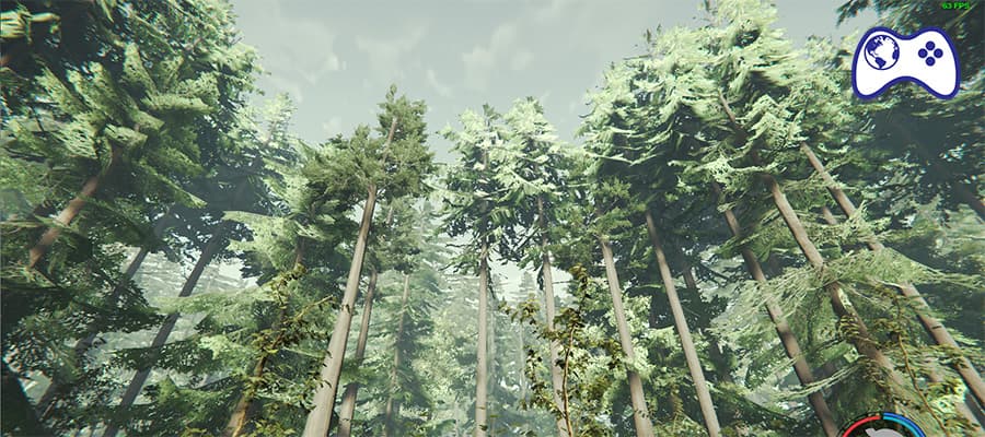 the forest hile kodları steam